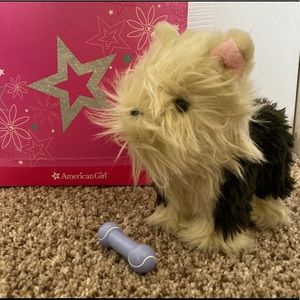 💕 American Girl Terrier Puppy